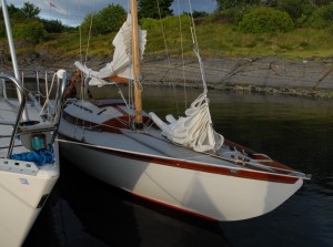 DSC_2718 Nye ON 79 Namsen cr